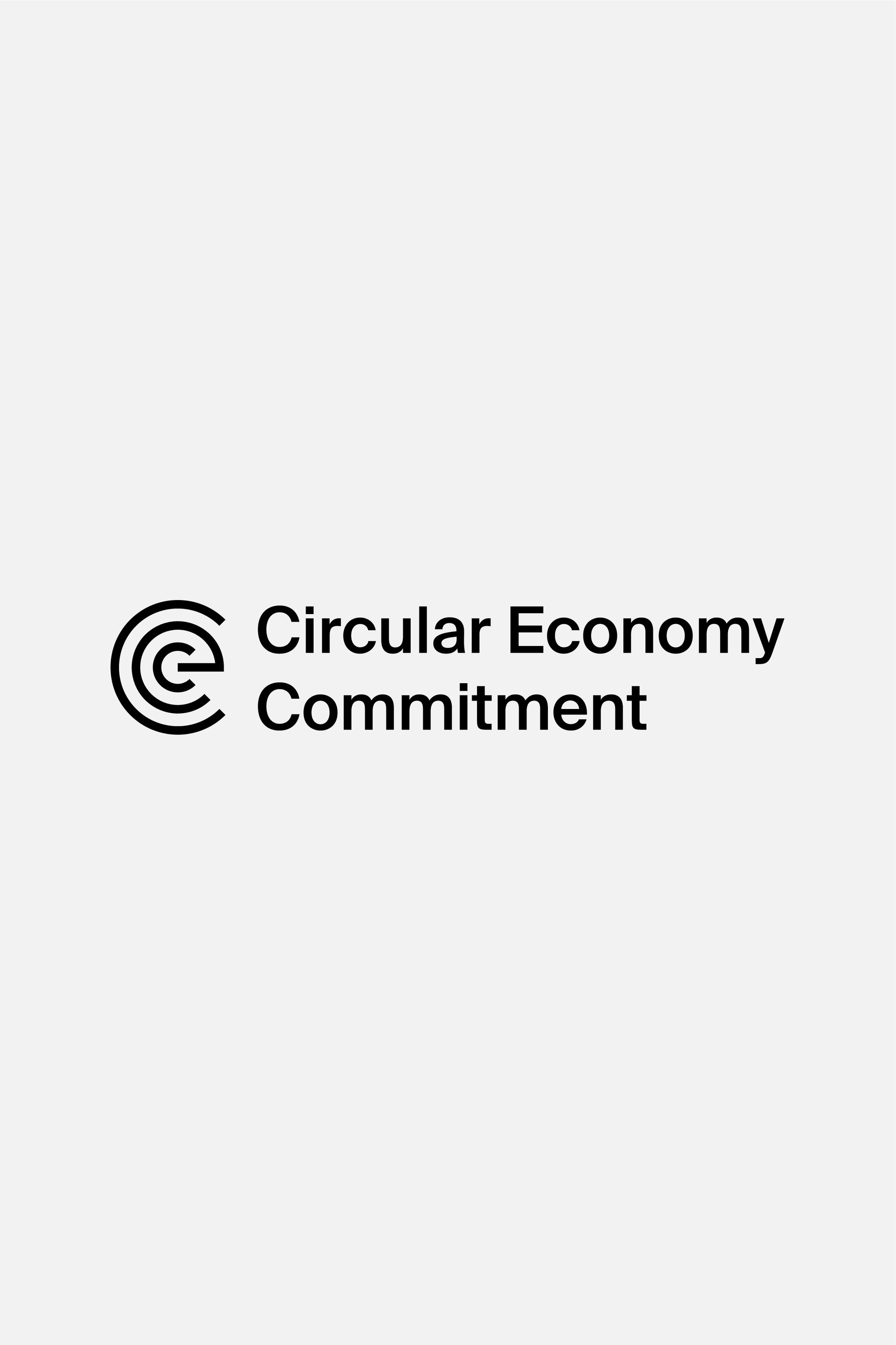 Logo CEC grey